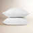 Alpine White