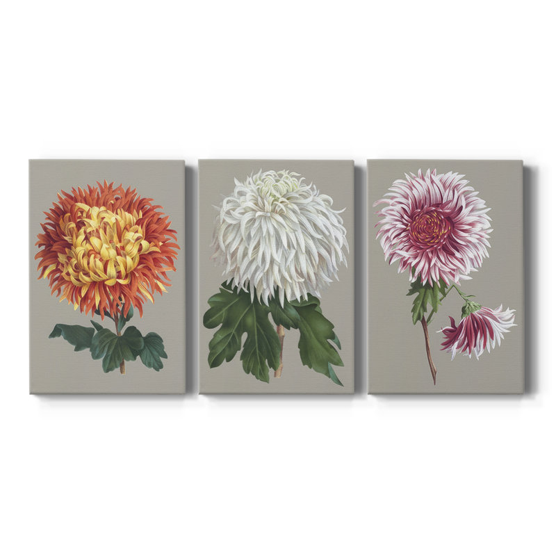 Chrysanthemum on Grey I  -Custom Wrapped Gallery Canvas - 3 Pieces, 36" H x 72" W