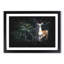 Curious Fawn - Framed Print-56916759-56916756