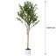 Faux olivier en pot-133254260-133254267-133254244