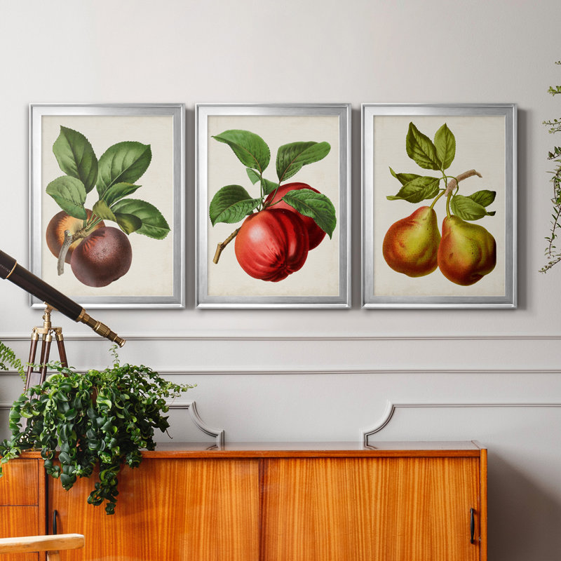 Antique Fruit IX - Ensemble de 3 impressions sur toile encadrées, H 18,5 po x l 73,5 po x P 1,5 po, Argent