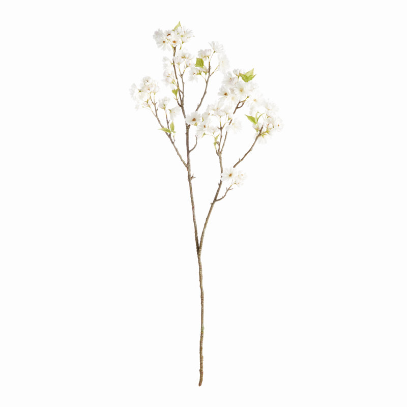 Faux cerisier Hanami, Blanc