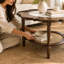 Table basse Calline Mid-Century en forme de pétale avec tablette en rotin et plateau en verre-1856897872