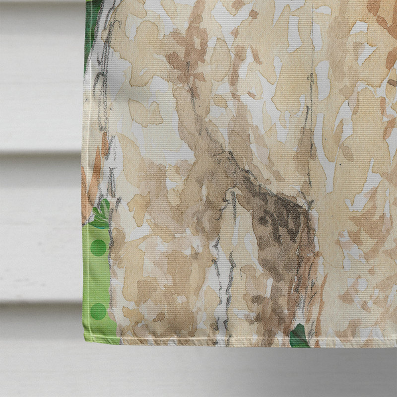 40 x 28 po en polyester à 2 côtés de la st patrick drapeau maison, Goldendoodle