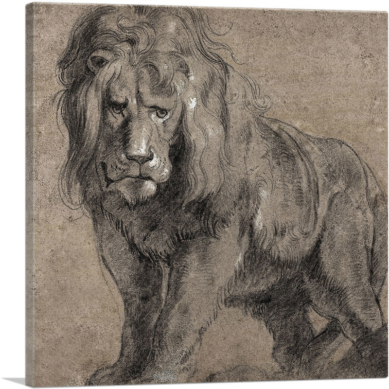 «Lion 1613» par Peter Paul Rubens, reproduction d'art sur toile tendue, H 26 po x l 26 po x P 1,5 po