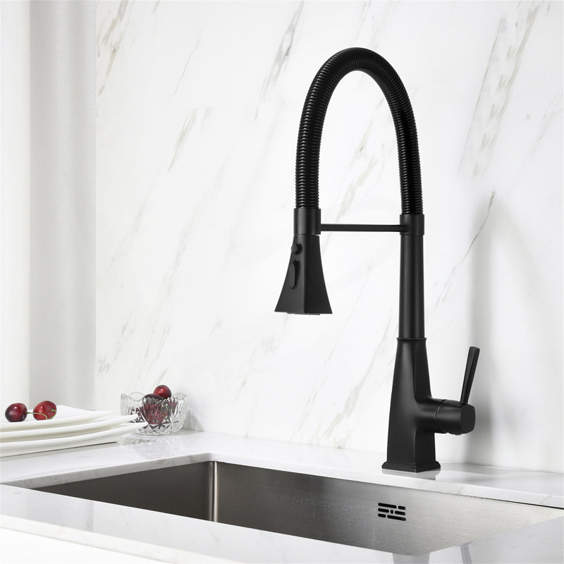 Robinet de cuisine avec douchette extractible