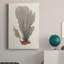 Toile tendue Knorr Shells & Coral III-2122268572