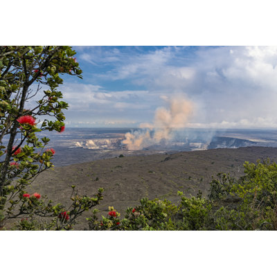 " Kilauea Caldera Volcano " by Smjoness