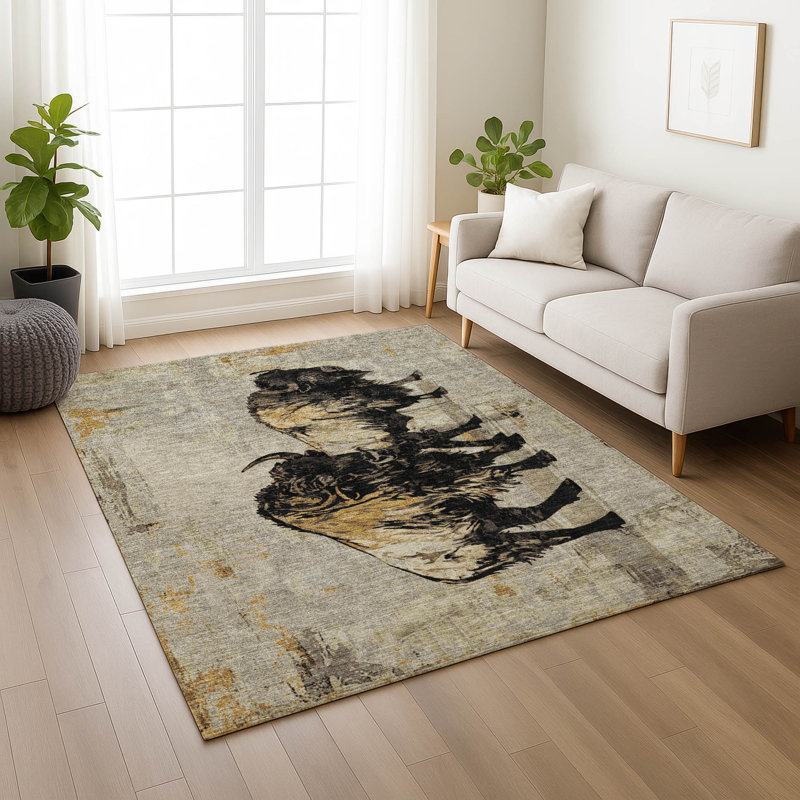 Tapis intérieur / extérieur lavable à la machine Boruta ACN2245, Rectangle 5 pi x 7 pi 6 po