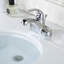 Lift Rod Bathroom Sink Drain with Overflow-104123045
