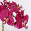 phalaenopsis 60 cm H Faux Plant-100807347