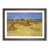 Walnut Framed