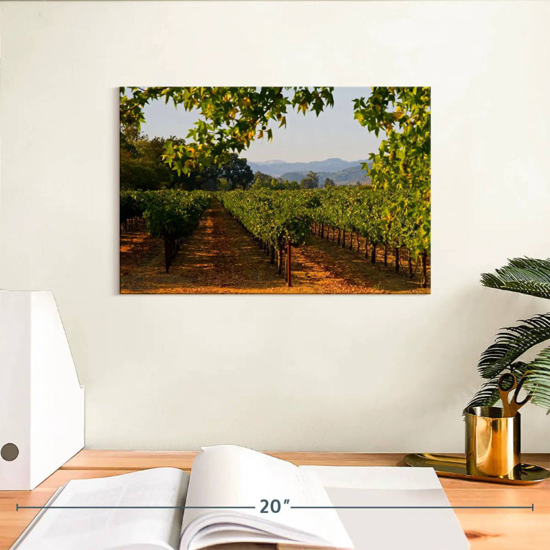 Alvord Napa Vineyard Sunset, H 8 po x l 12 po