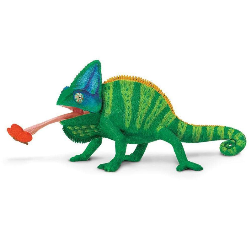 Caméléon voilé