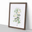White Burnet Rose by Pierre-Joseph Redoute - Framed Print-55612228-55612232