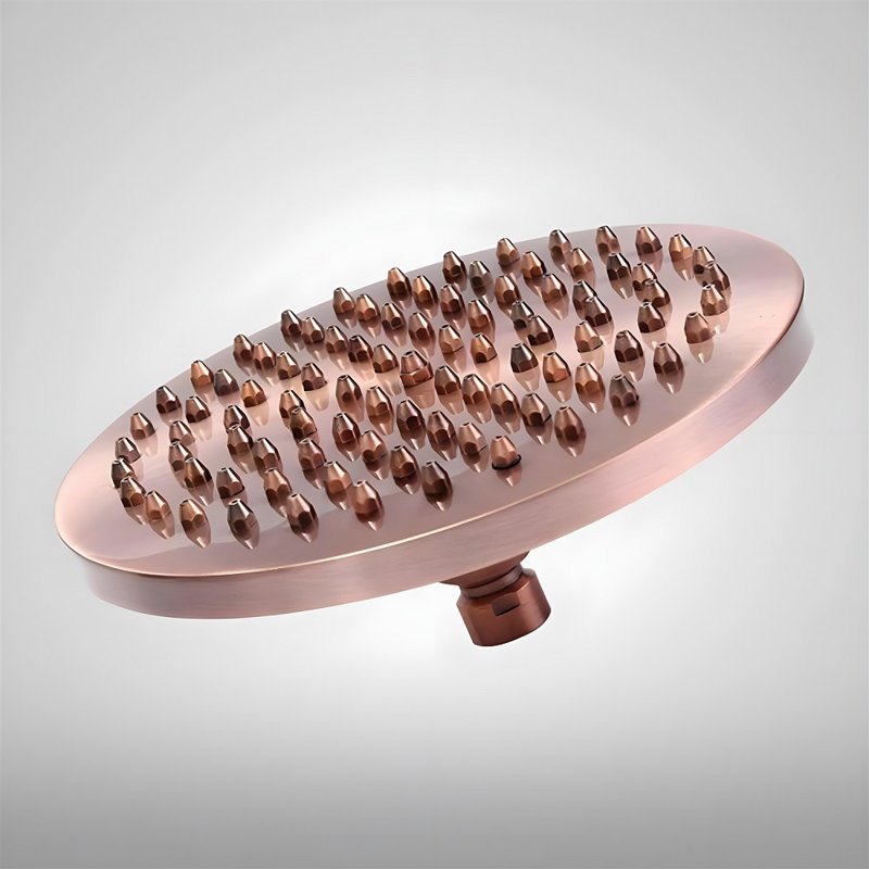Pomme de douche BathSelect