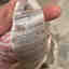 Customer photo 2 of 3
