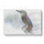 Graceful Kingfisher Bird - Wrapped Canvas-56647572