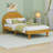 Twin Size Cookie-Shaped  Platform Bed