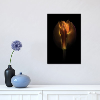 Orange Tulip 1 Piece Wrapped Canvas Wall Art