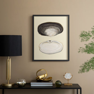 Bivalve Shells II Framed Print - Solid Wood