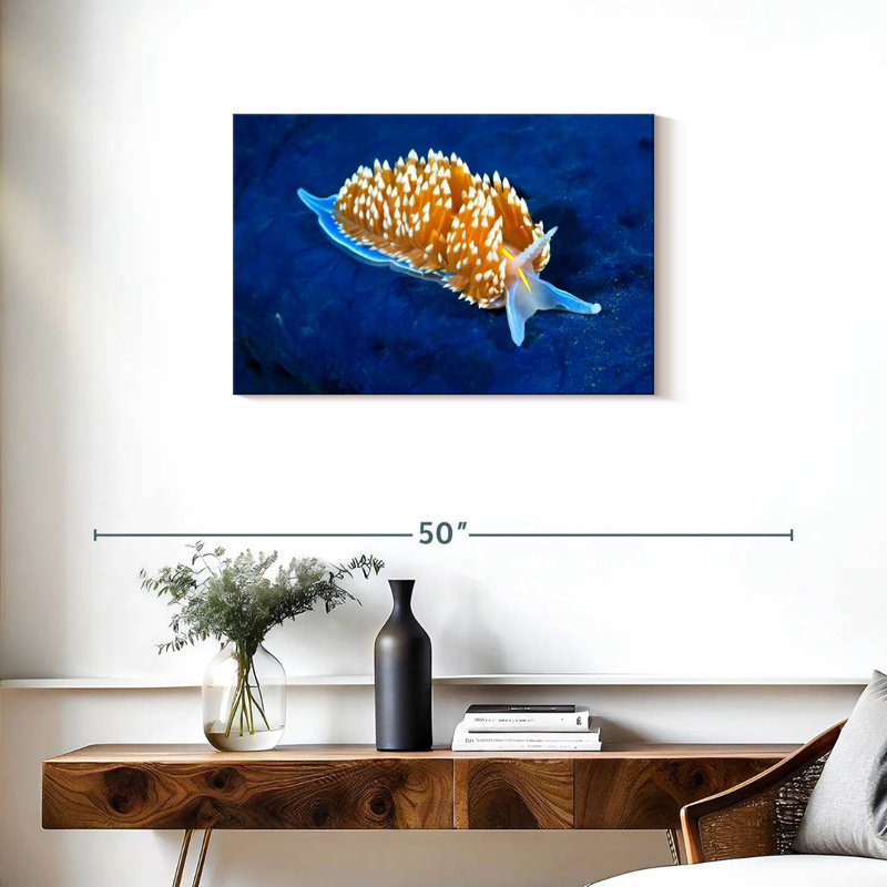 Crowle Glowing Nudibranch, 20" H x 30" W