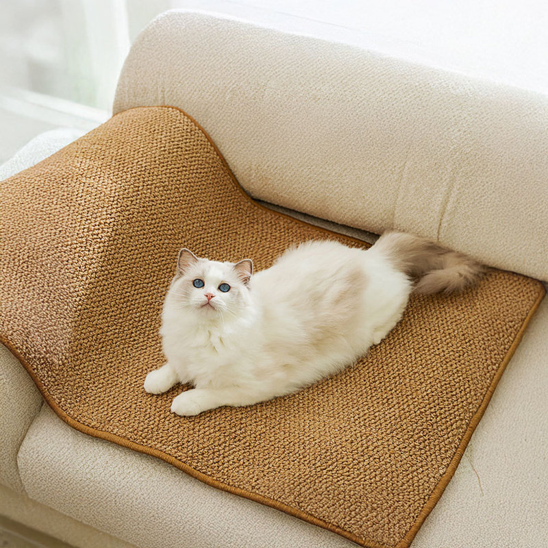 Shorna Pseudo-Sisal Pet Bed, 1 cm H x 25 cm W x 50 cm D