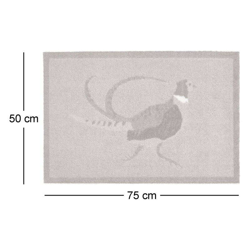 Non-Slip Indoor Doormat