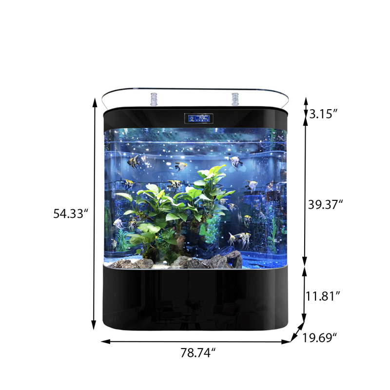 Grand aquarium à filtration arrière de 78,74 po avec panneau d'aquarium en verre noir, H 54,33 po x l 78,74 po x P 19,69 po