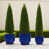 Bleu antique est en rupture de stock