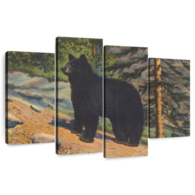 Ours noir