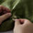 Duvet Cover Set-Button Loop-254117124-204718836