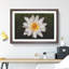 White Lily Flower Painting - Picture Frame Graphic Art-62765348-62765349