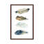 Feather Collection I by Carol Robinson - Painting on Canvas-2027707416-2027707417