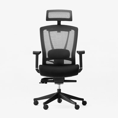 Ergochair Pro Office Chair Lumbar Support