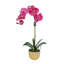 Silk Orchid Plant In White Vase-1870534633-1870534632
