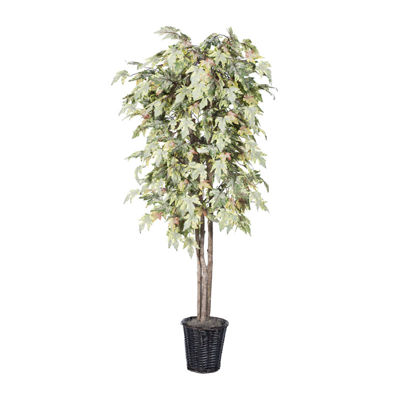 Arbre de feuillage de sol en panier