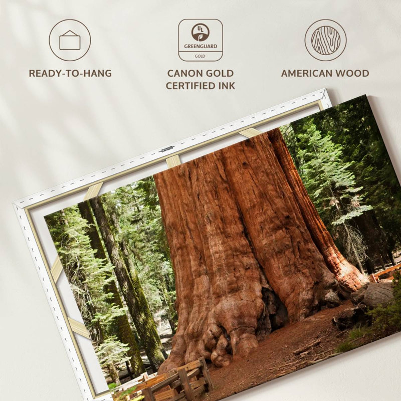Harnek Ancient Sequoia Tree, 20" H x 30" W