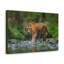 Impression d'art mural tigre chasse-732644864