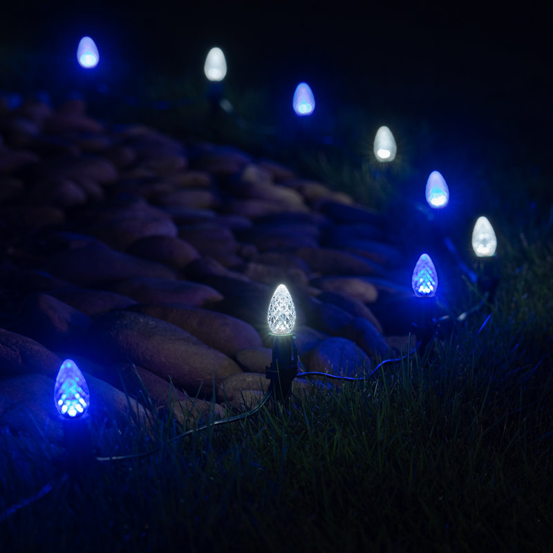 Luminary & Pathway Lights, 50 feet 