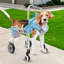 Fauteuil roulant pour chien Fauteuil roulant réglable pour les pattes arrière