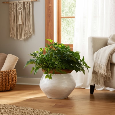 Planter Pottery Terracotta Textured Design Indoor Outdoor Garden Decor Use - 7" White & Tan