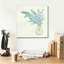 «Plant Eucalyptus I» par Chris Paschke, estampe numérique sur toile-1345687035