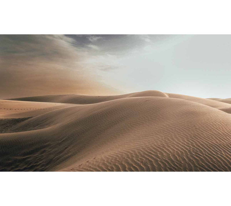 Art Of Nature 025 - No Frame Print on Metal