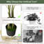 47 plantes