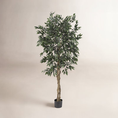 Faux Olive Tree Tree in Pot
