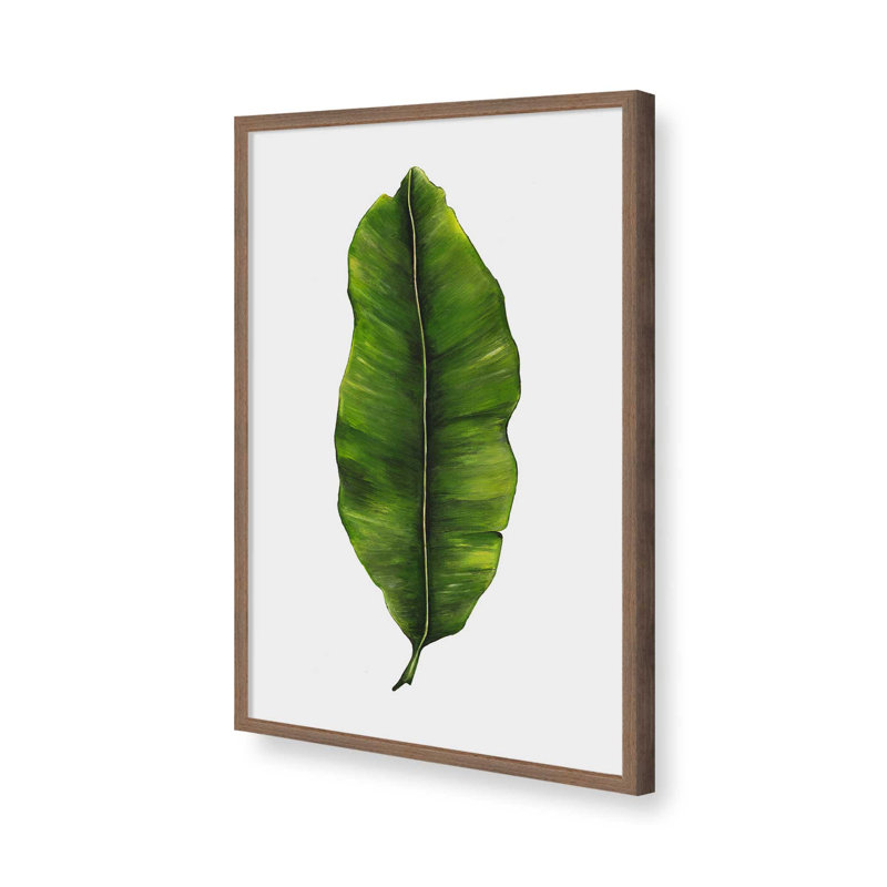 Reproduction d'art «Emerald Leaf Study» par Dollybirds, H 25 po x l 19 po, Reproduction avec cadre en noyer