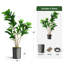 Arbre artificiel en pot moderne, Ficus lyrata, plante en soie, faux arbre d'extérieur-97704338-138916949