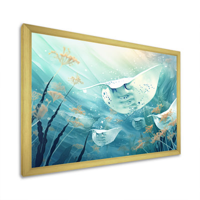 " Monochome Manta Rays Dance "