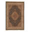 Wool Oriental Area Rug in Green
